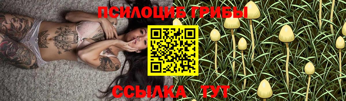 Псилоцибиновые грибы GOLDEN TEACHER  Галлюциногенные грибы мухоморы  Вход с VPN  наркотики  Амурск 